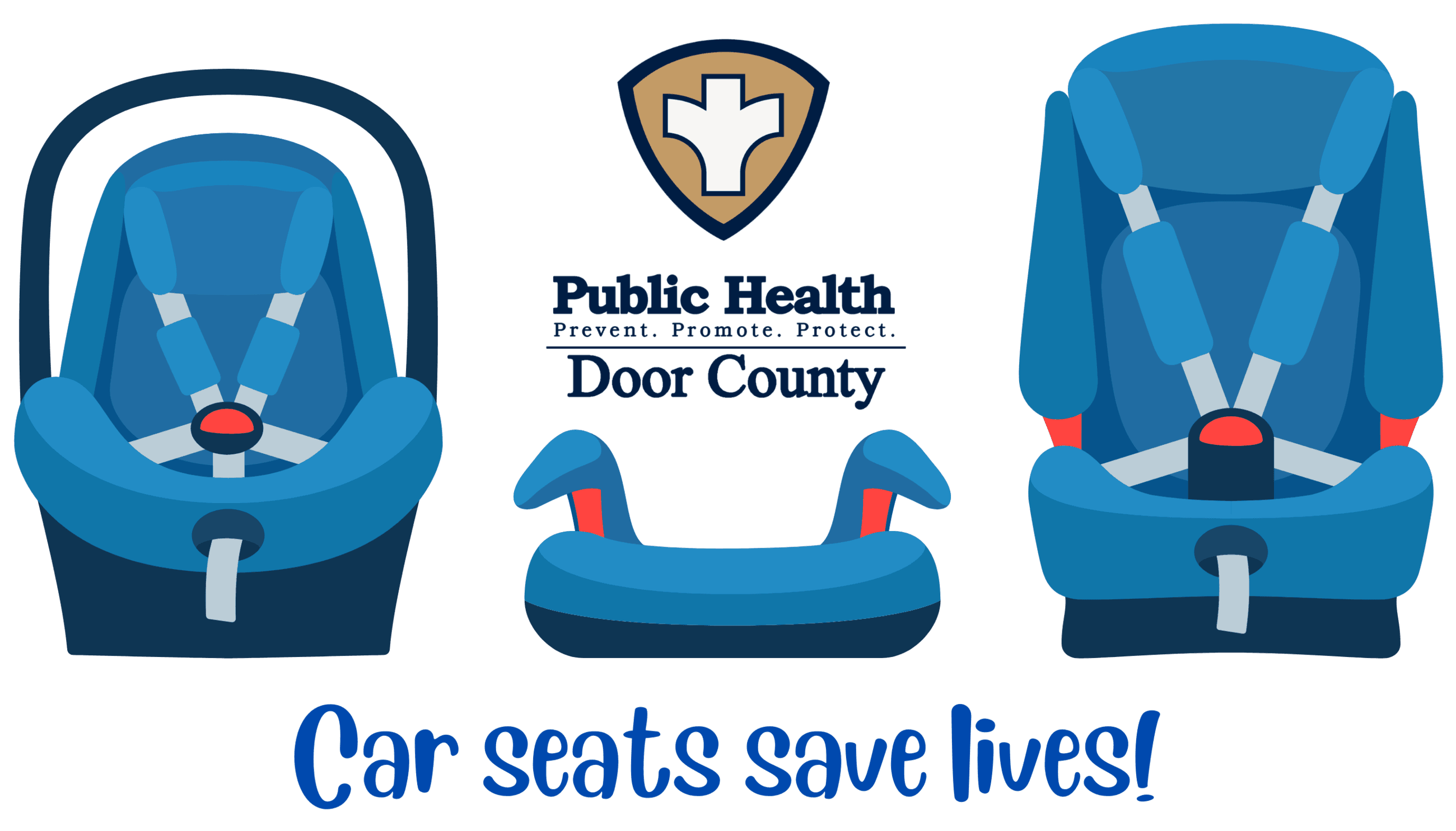 Car Seat Checkups Logo